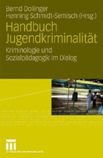 Handbuch Jugendkriminalität